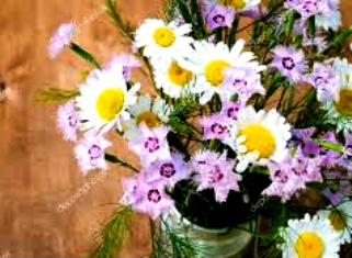 Я подарю тебе...