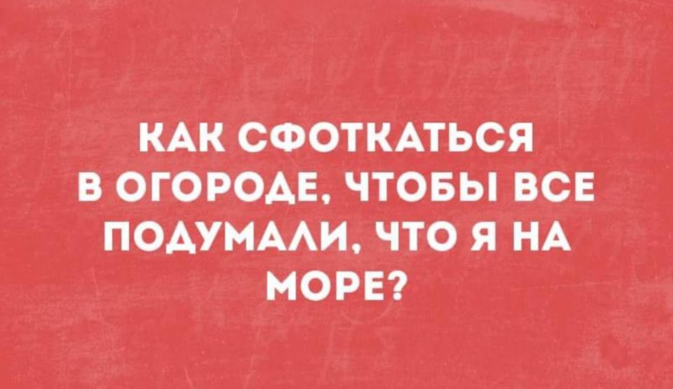 4018. Фотографии на белом море