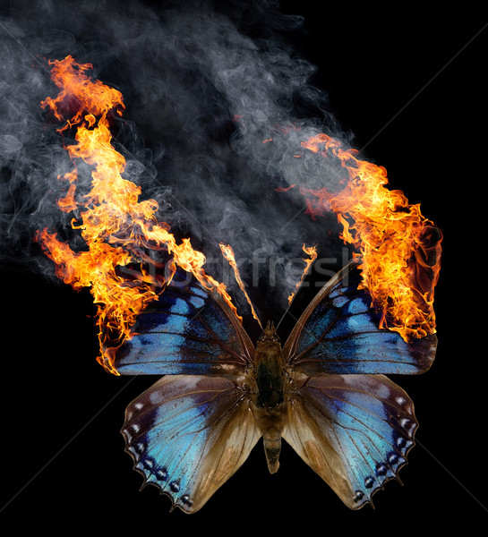 Листая книгу жизни и судьбы...