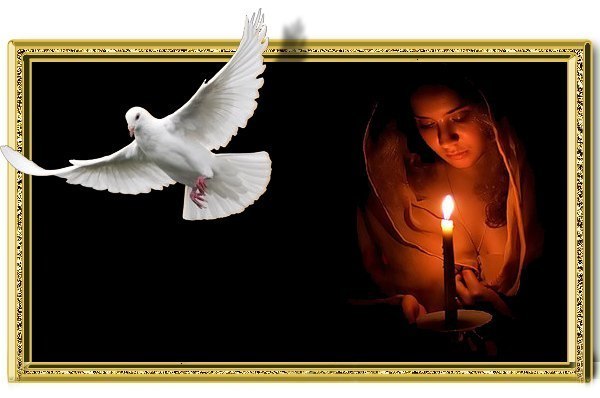 Заживёт до свадьбы...