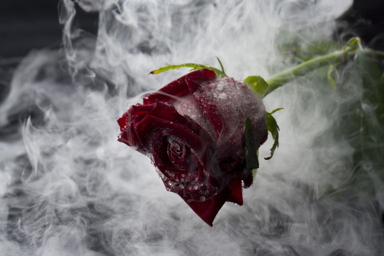 Жестокая любовь