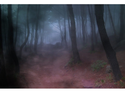 Мы вместе, рядом...