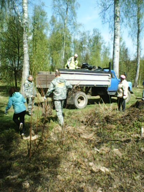 Мысли после субботника