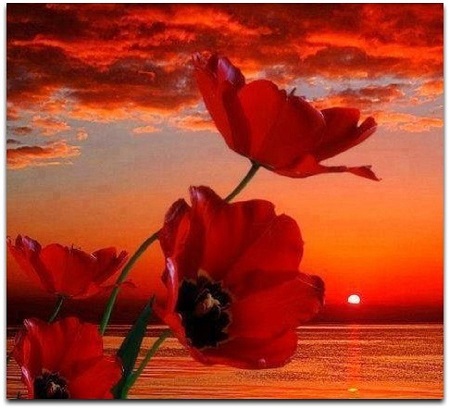 Мы смотрим ввысь