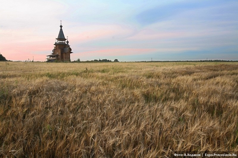 Природа поля Церковь