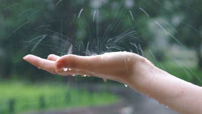 Летний дождь