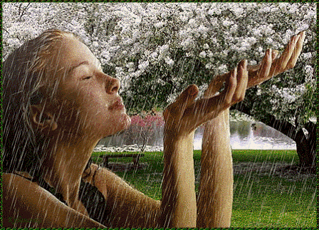 Наследники Ноя