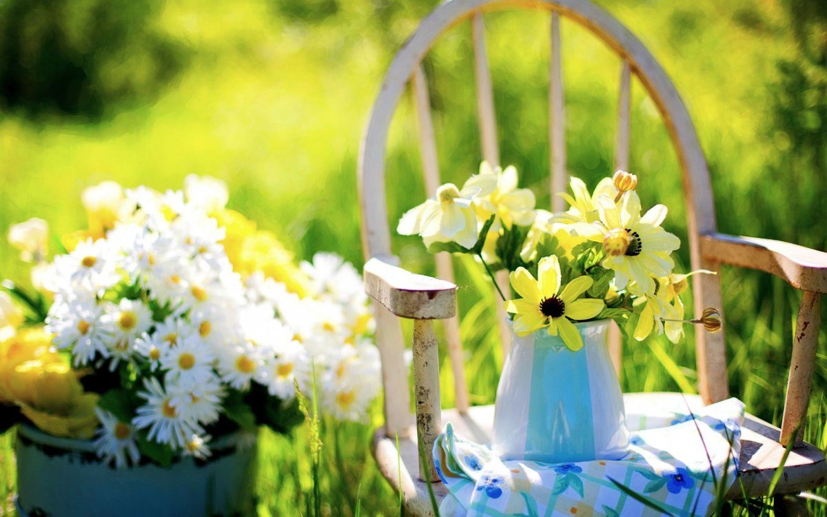 Лето деревенское...