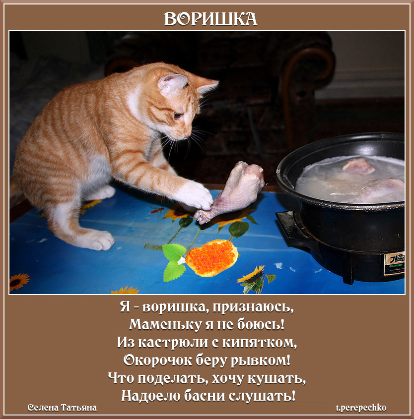 как пишется слово также слитно или раздельно примеры. воришка или воришка. как правильно пишется воришка. как правильно пишется воришка. как правильно написать слово воришка.