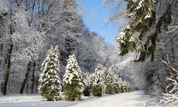 Боже, как прекрасен этот мир!