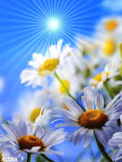 ДАЙ БОГ, ВАМ!