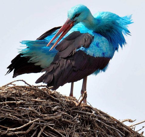 Меня там больше нет