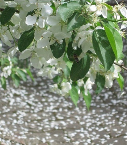 К свободе от тебя