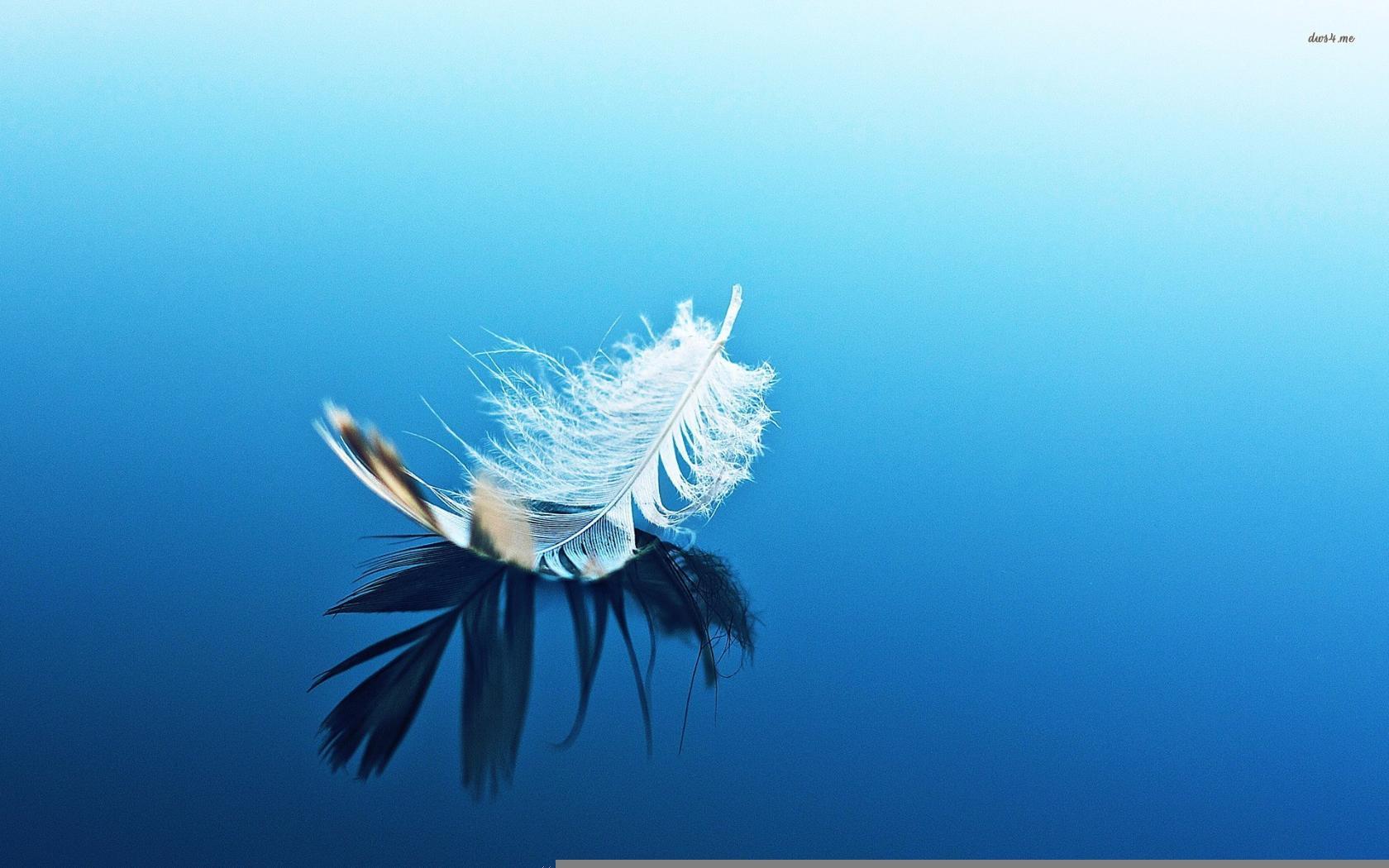 Жизнь, как пёрышко...