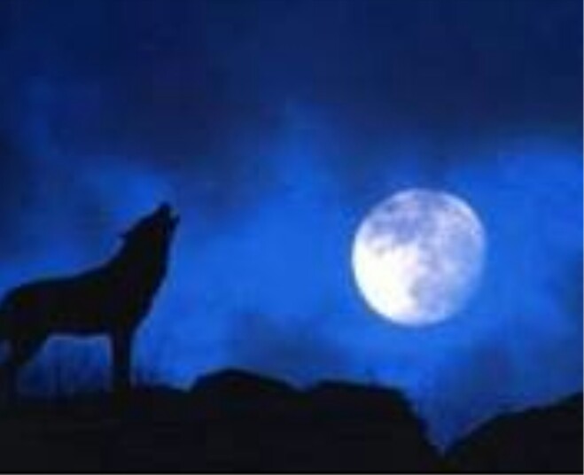 Воет пёс тоскливо, нудно...