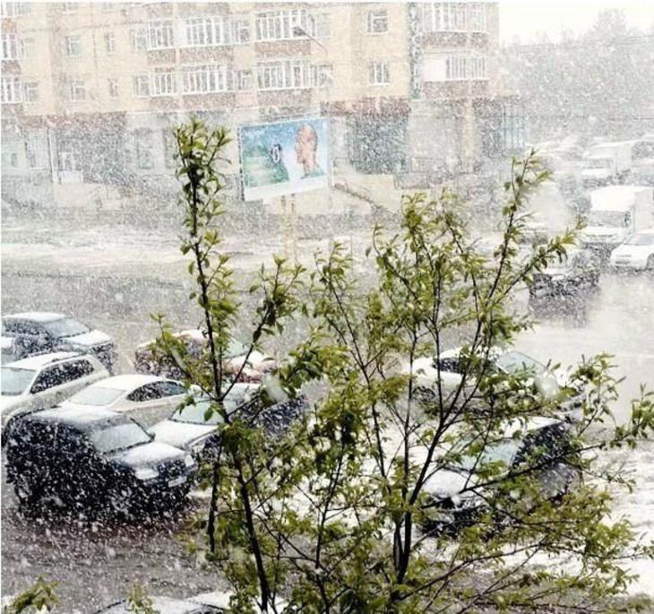 Что означает снег летом. Снегопад летом. сургут снег летом. снег летом. сургут первый снег.