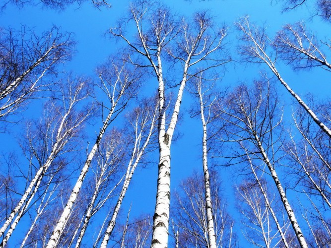 Чиста небесная лазурь