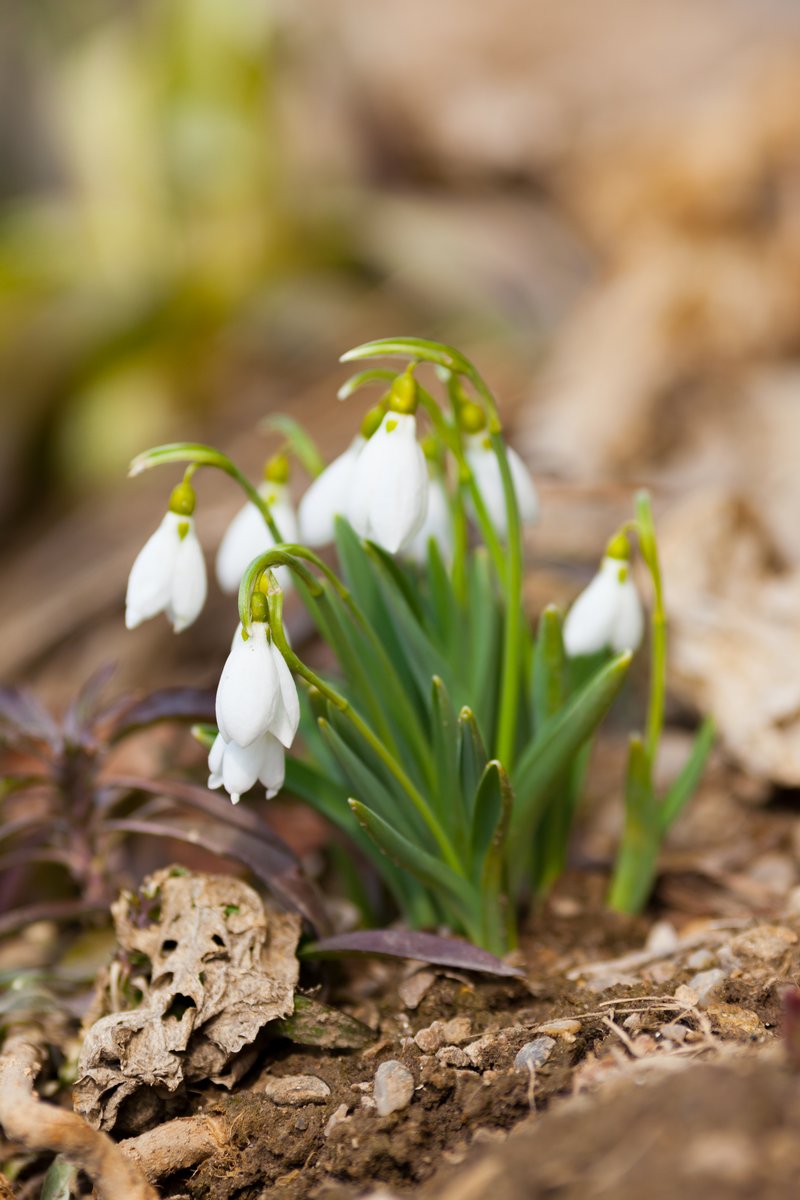 Весенняя распутица