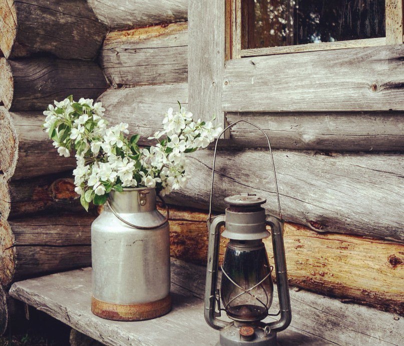 Жасмин душистый на скамье...