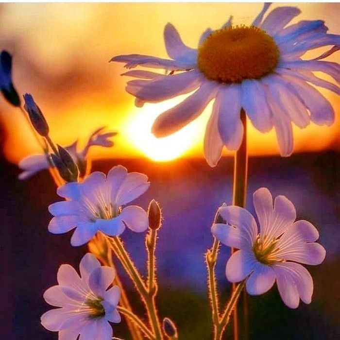 Мой рай возможно -не примерен!