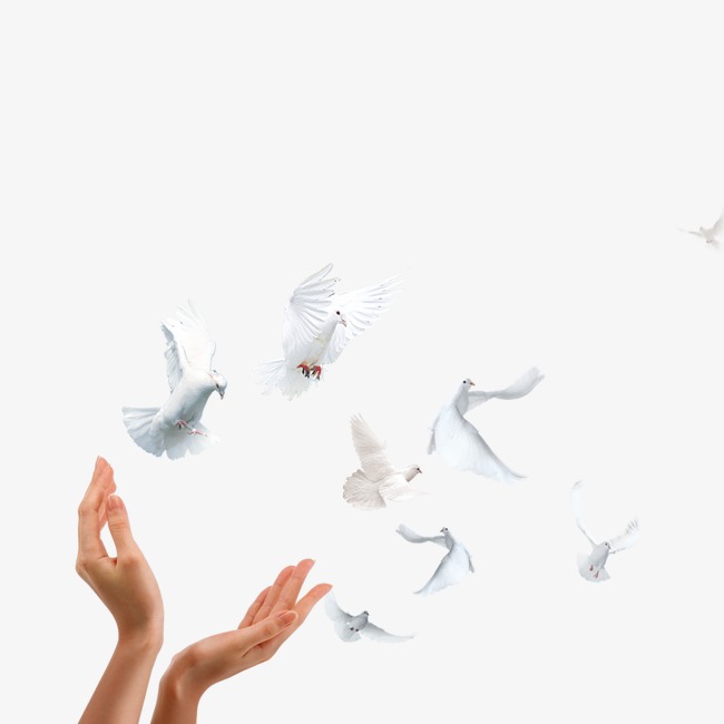 Зачем смирение-тем птахам, что родились мир любить