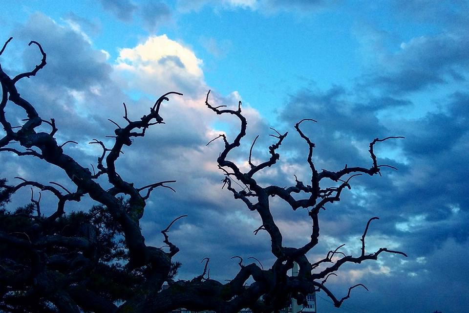 Майская гроза