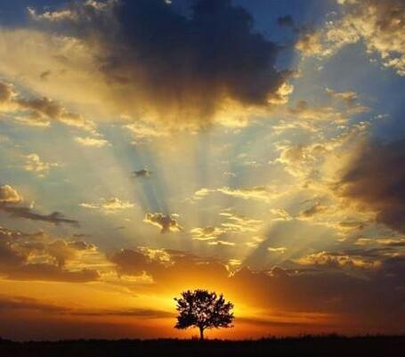 А рассвет сегодня перламутров...