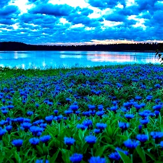 Просто знаю