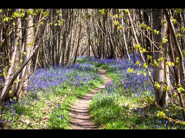 Скользит перо по бумаге небрежно
