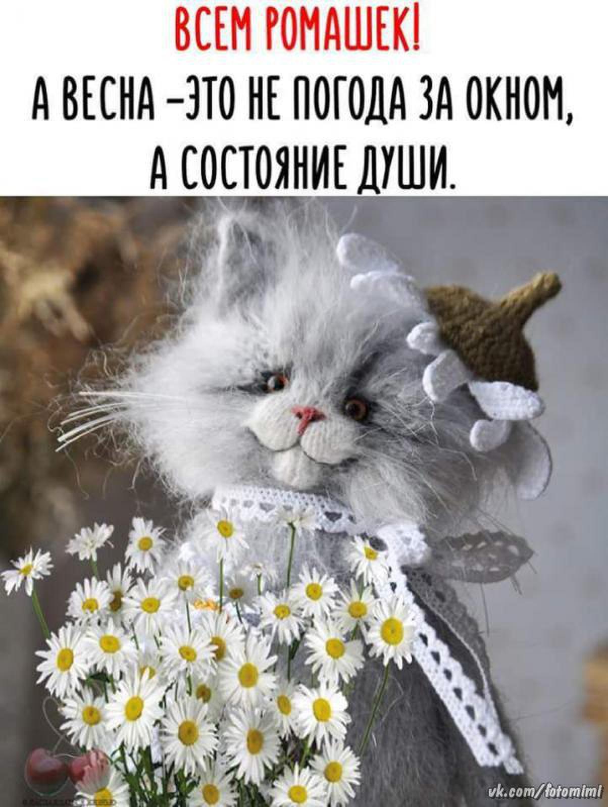 Русский человек ждет 3 вещи весну пятницу. Позитивные картинки с весной. Позитивной пятницы. С весенней пятницей.