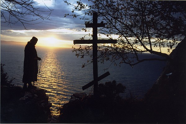 Сердце на ветру