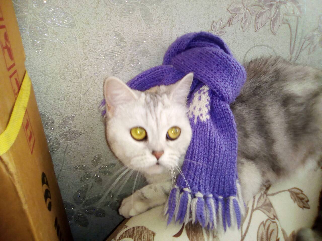 Про часы и космос