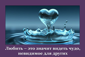 Целебный эликсир