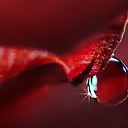 Из капель россыпь поцелуев