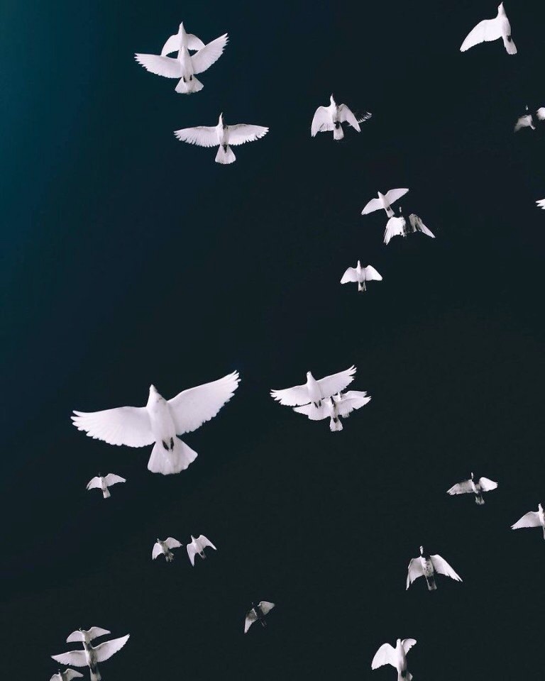 Я буду жить, пока хранит твоя любовь