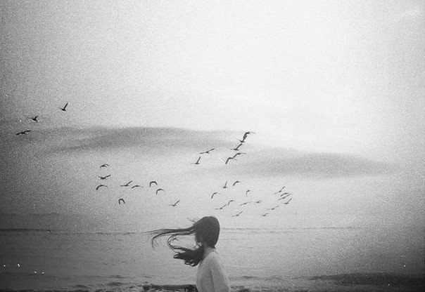 Туман чувств