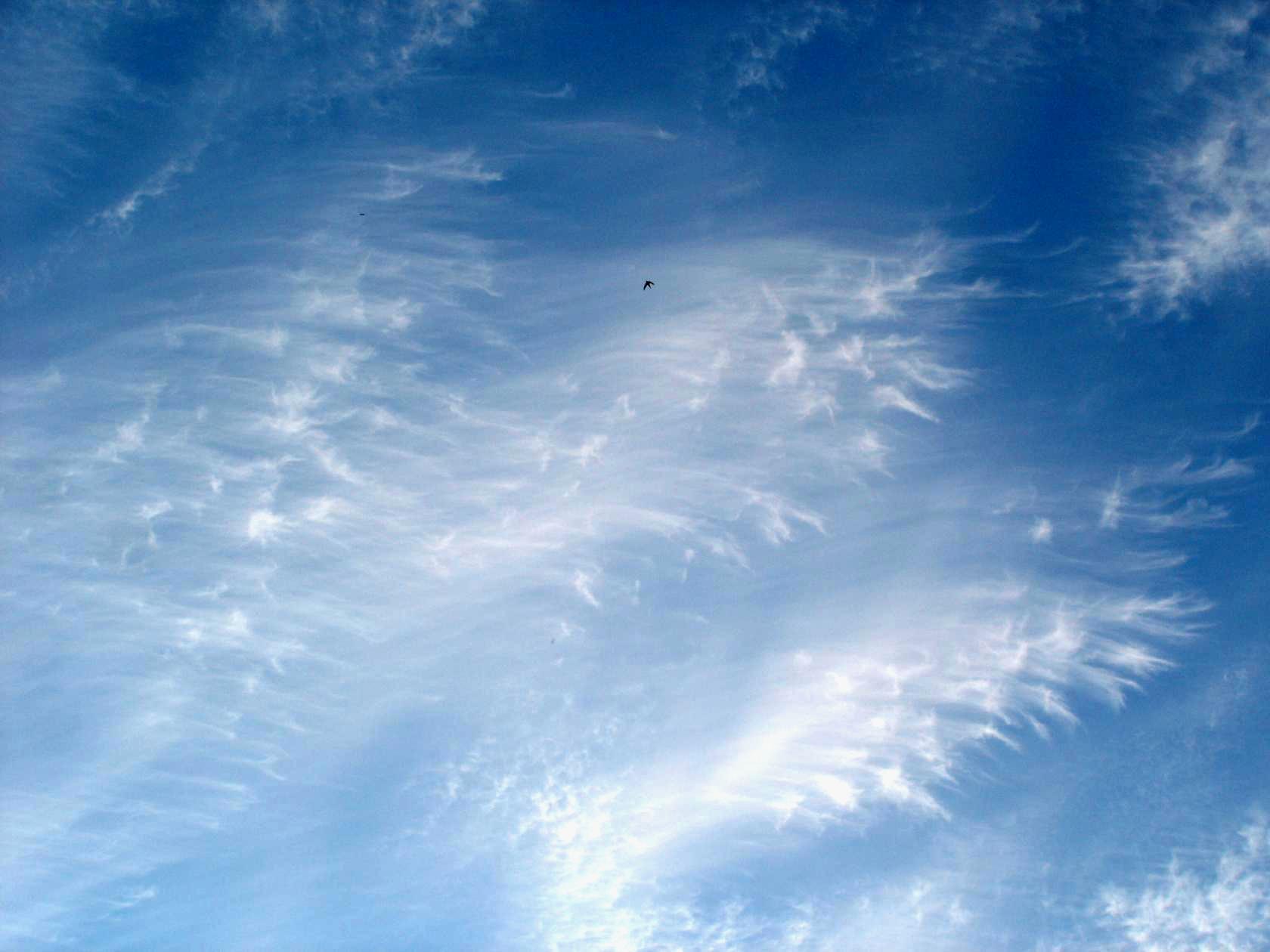 Небесная нежность