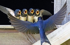 Менялась ночь на утро...