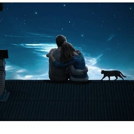 И ярких звёзд на небе синем...