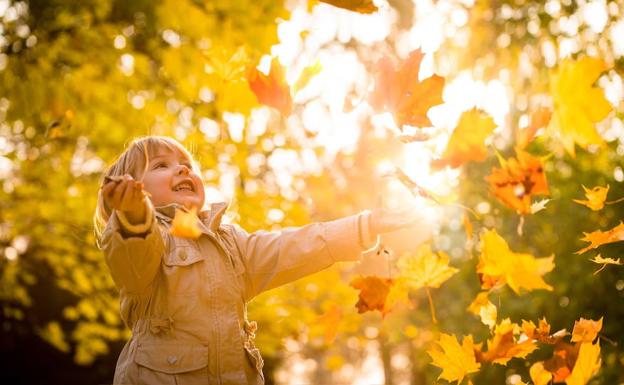 Золотую осень любят все на свете