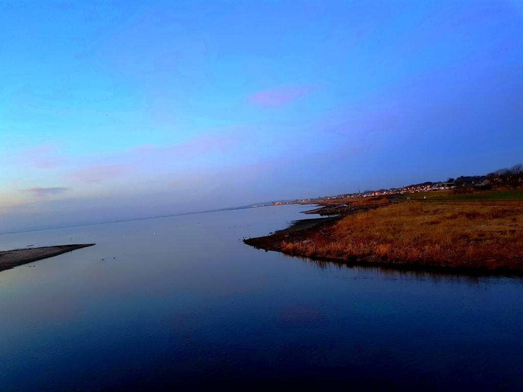 Анатомия (Петр Сурай) / Стихи.ру