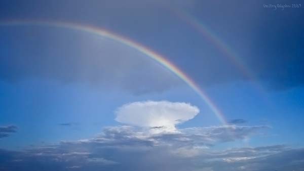 ушла на радугу...