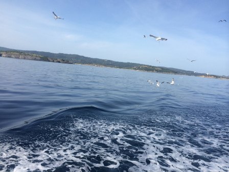 Тебе, владычица морей!