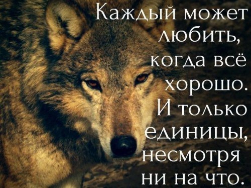 Любить вопреки