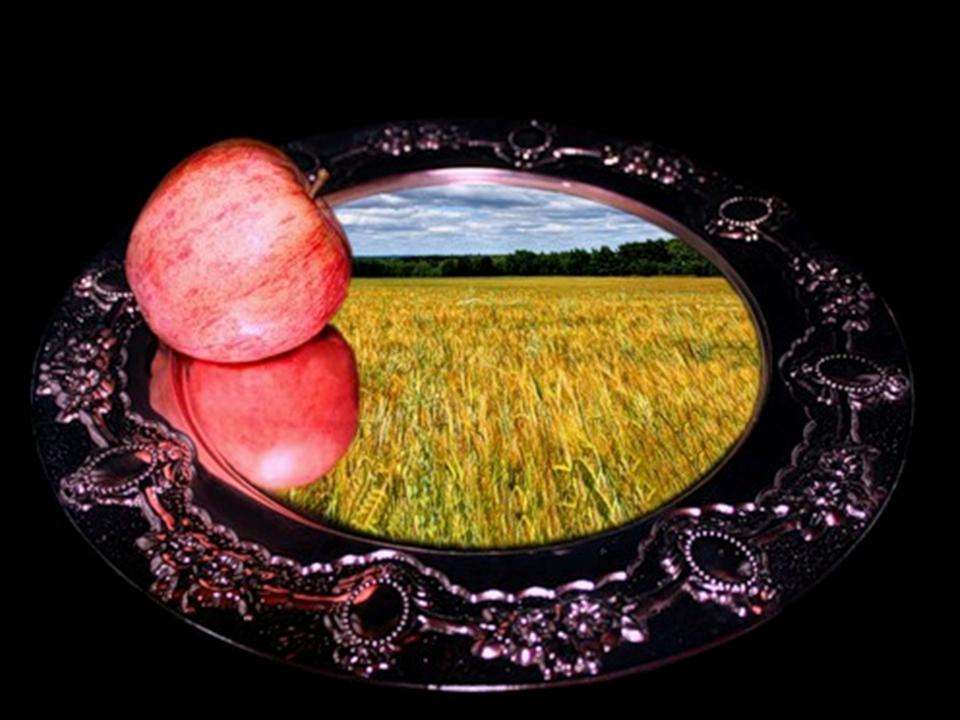 Яблочко на блюде