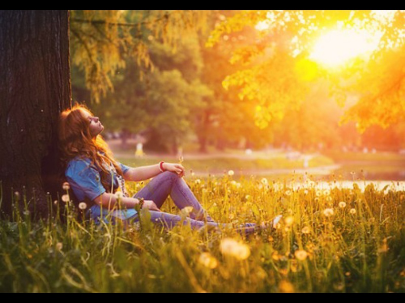 Волеизъявление