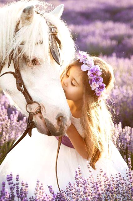 Куда уходит... ветер