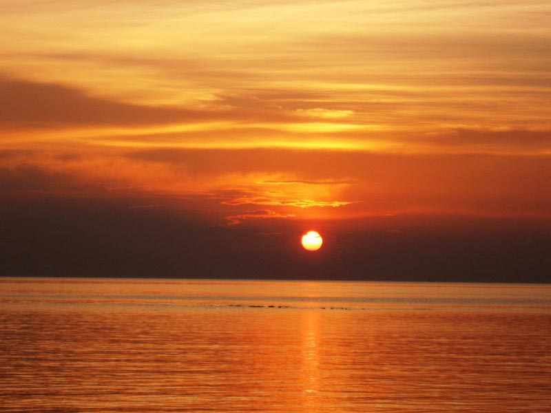 Вначале было море...