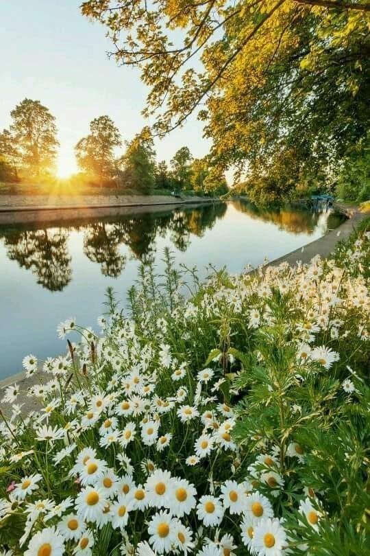 Надо ль - всегда лучшее, когда солнце есть...