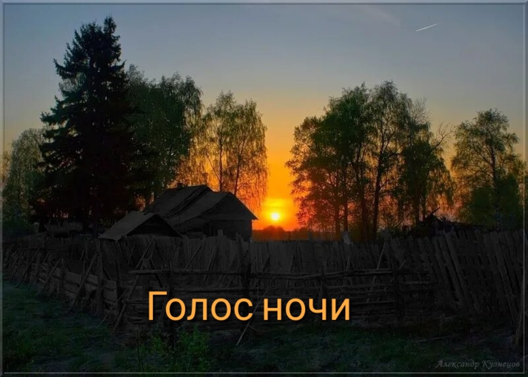 Голос ночи